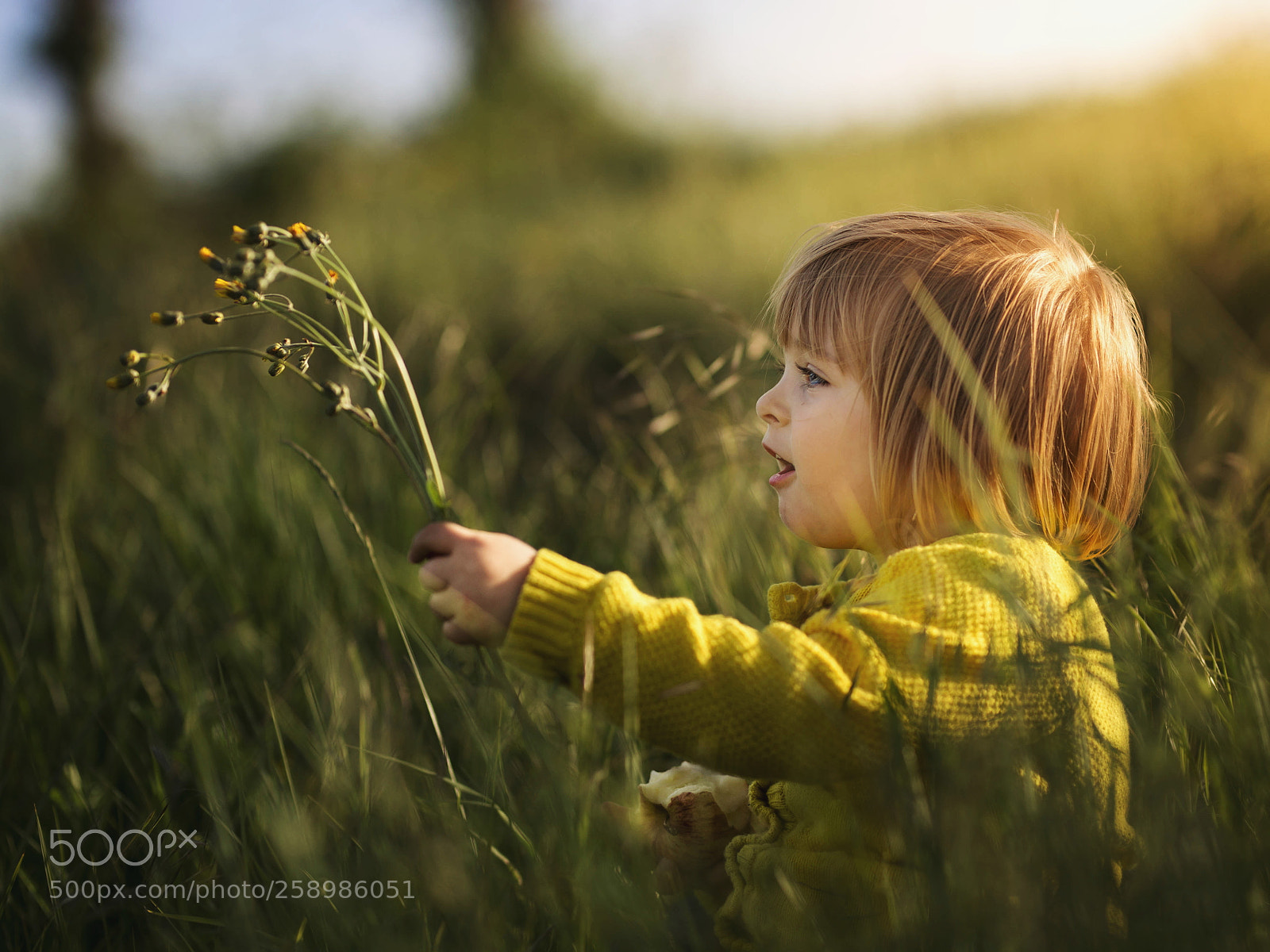 Canon EOS 6D sample photo. Untitled photography