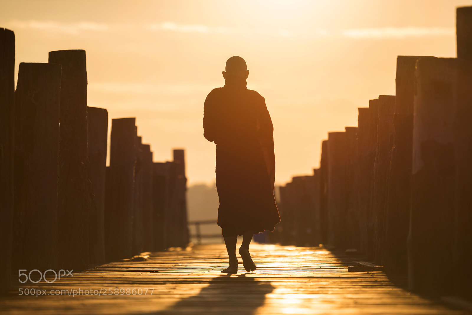 Nikon D810 sample photo. Buddhist monks walking on photography