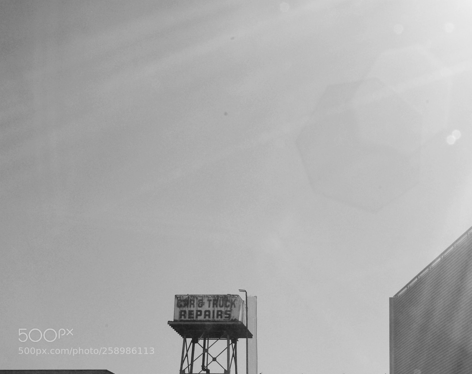 Nikon D200 sample photo. Sunbather photography
