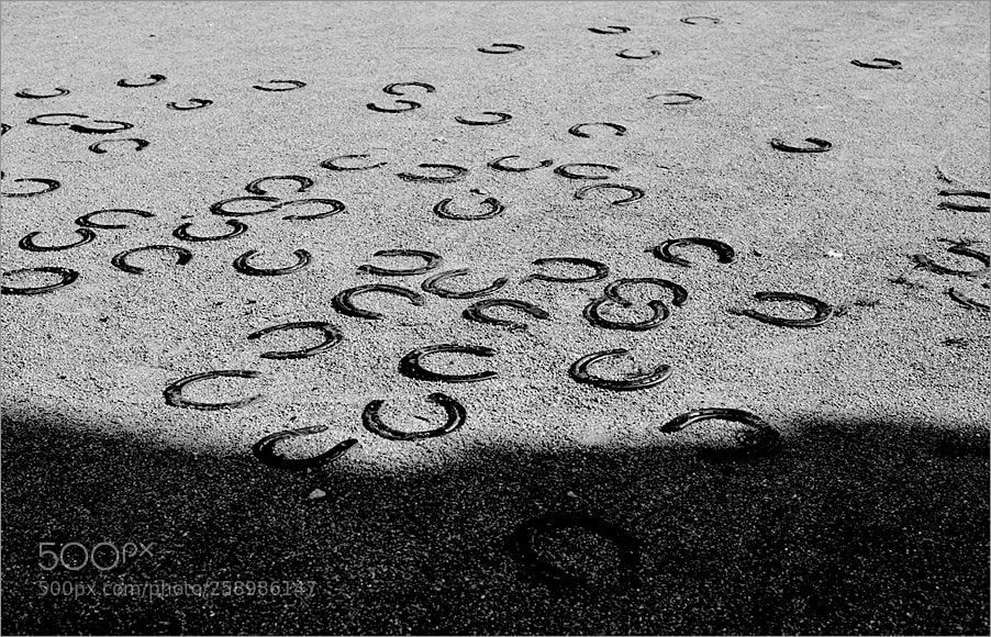Nikon D610 sample photo. Happiness and shadow photography