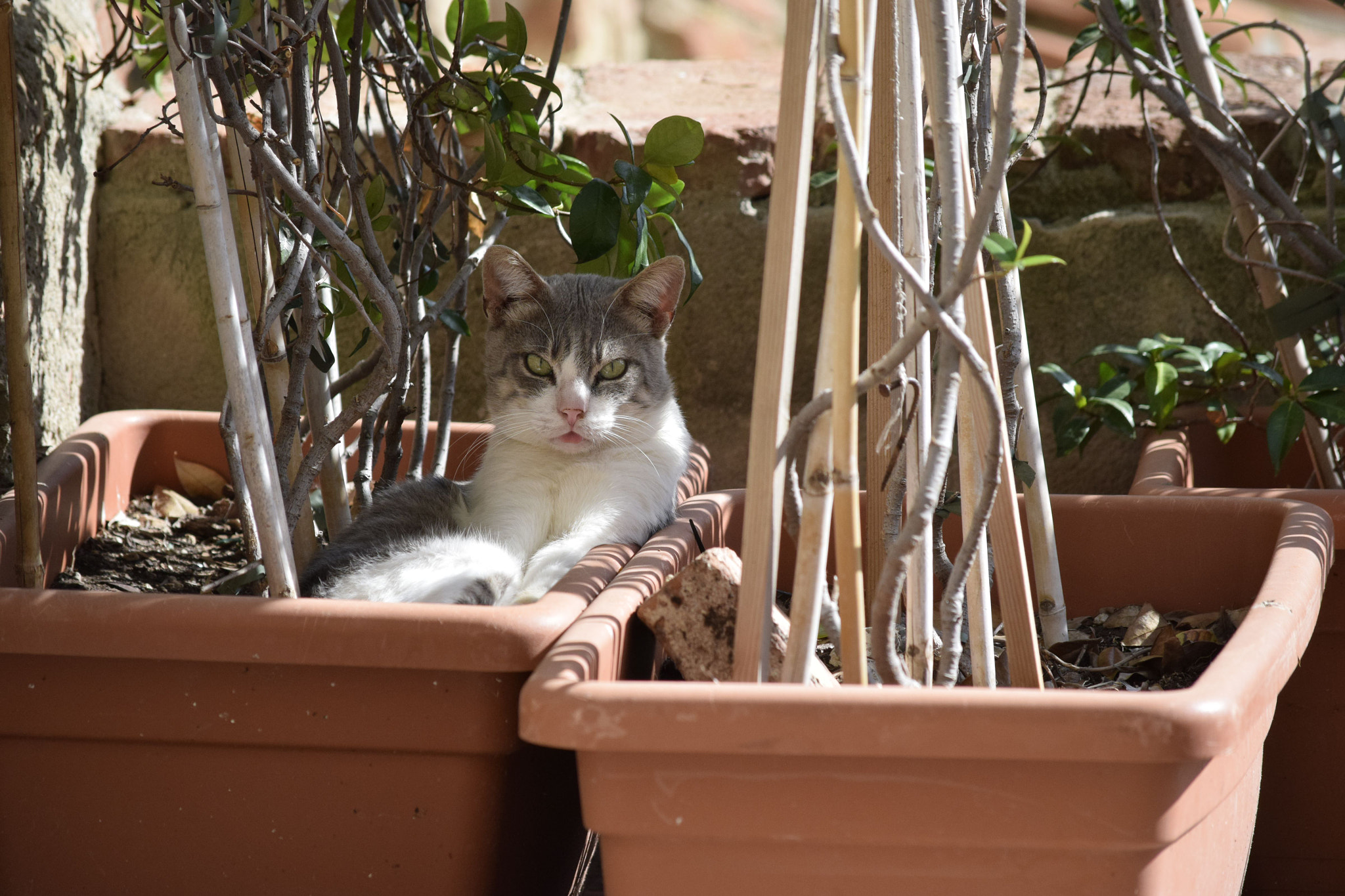 Nikon D3300 sample photo