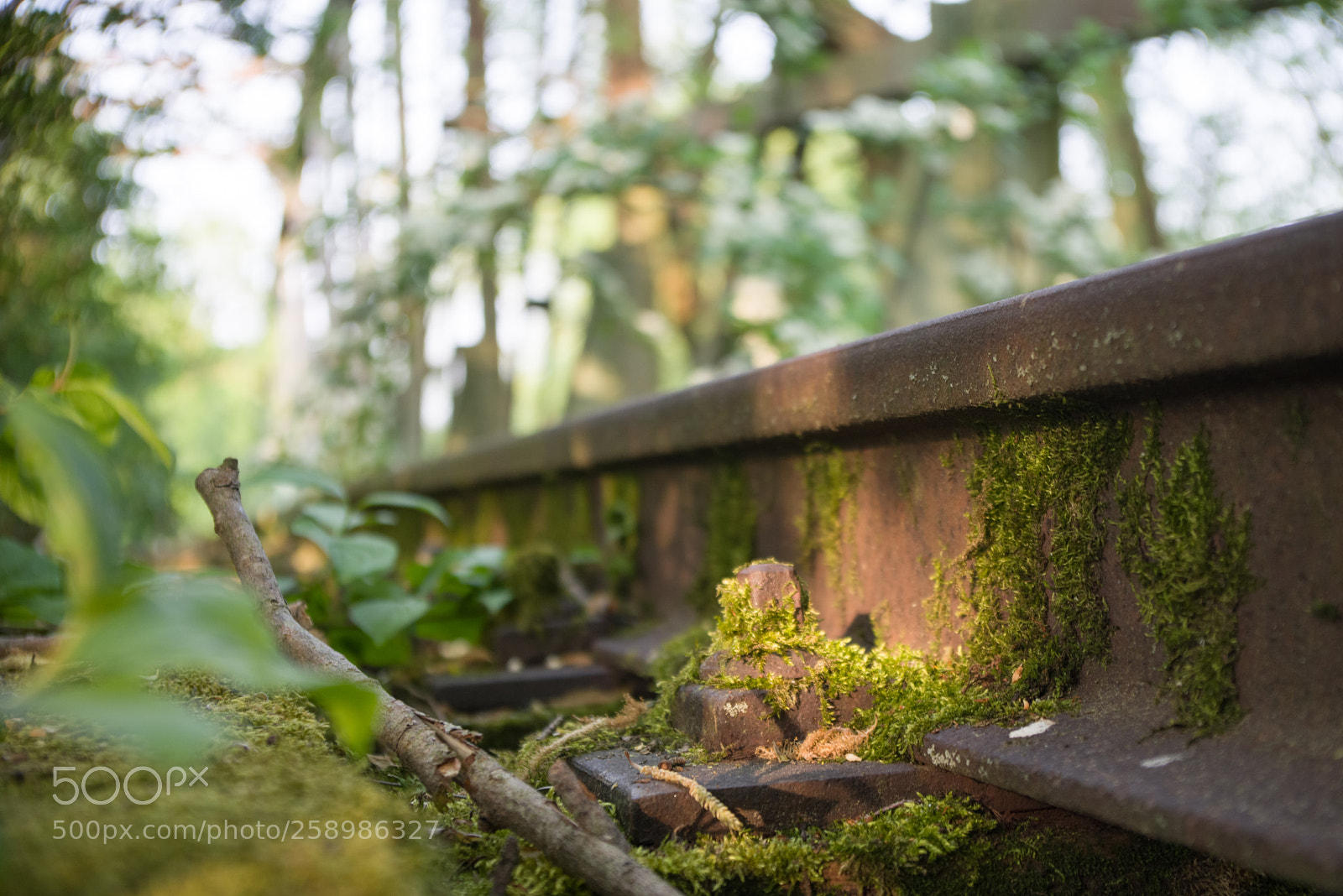 Pentax K-1 sample photo. Wmb_2878_1.jpg photography