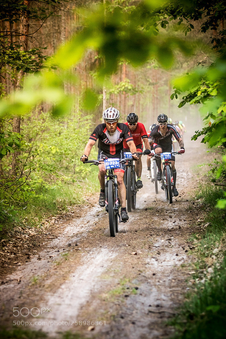 Canon EOS 7D Mark II sample photo. Race in the forest photography