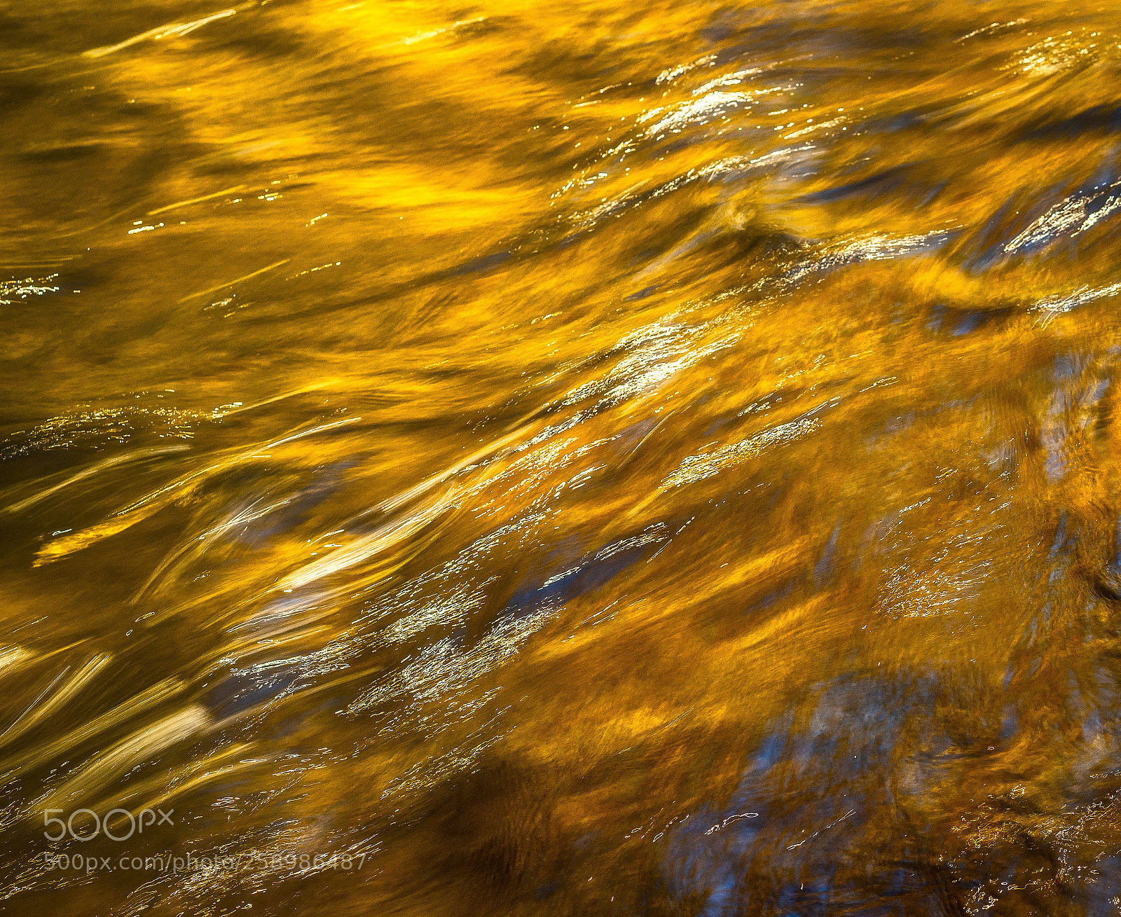 Sony a7R sample photo. Gold rush photography