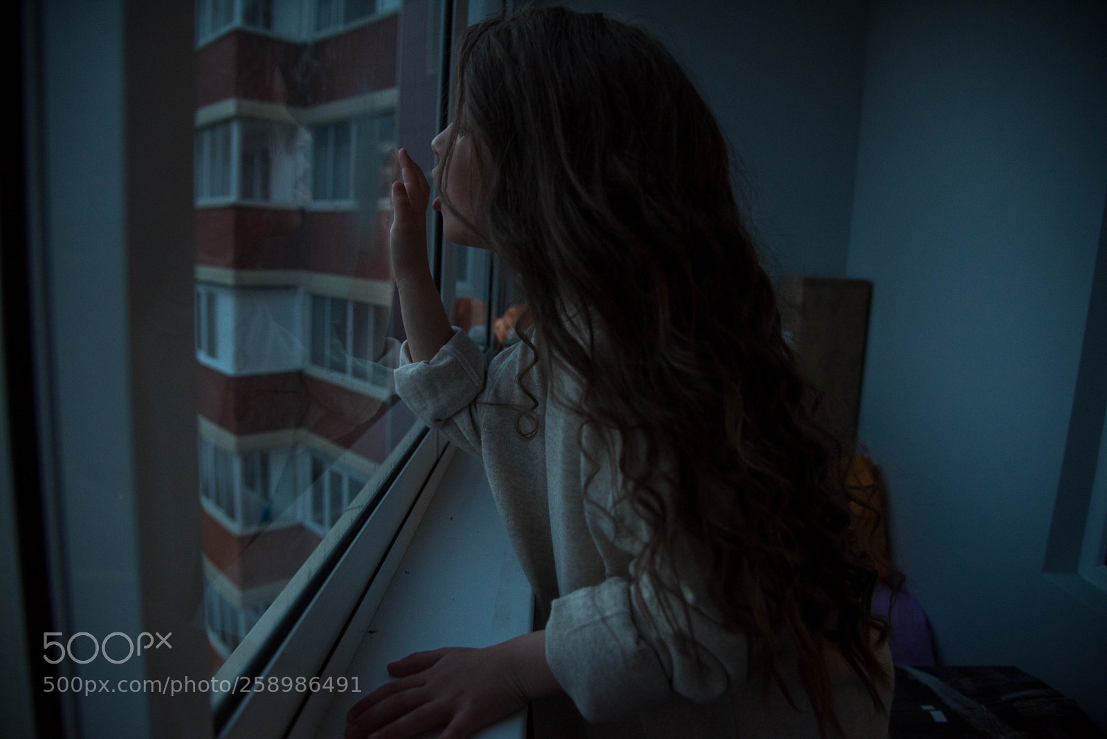 Nikon D750 sample photo. Untitled photography