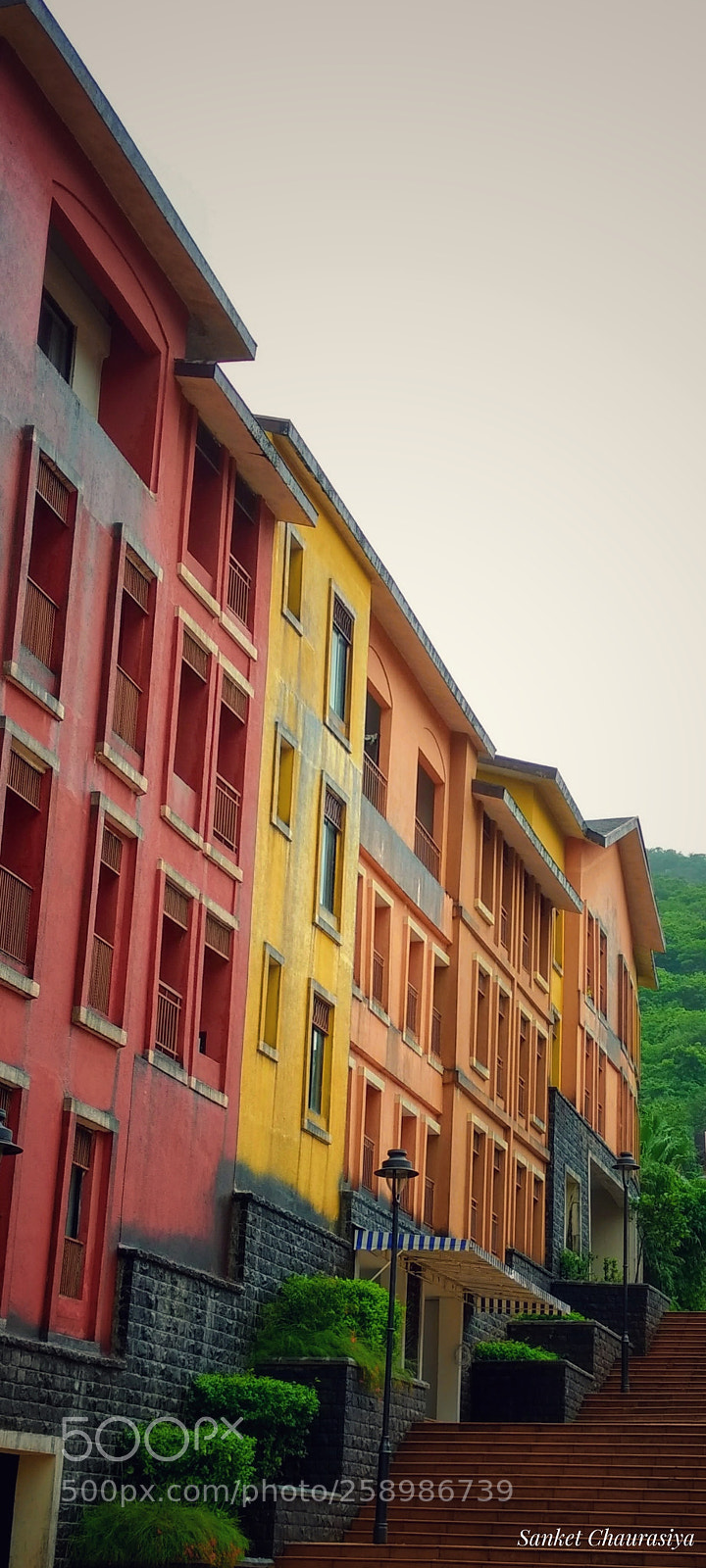 Motorola Moto G (4) sample photo. Colours of life. photography