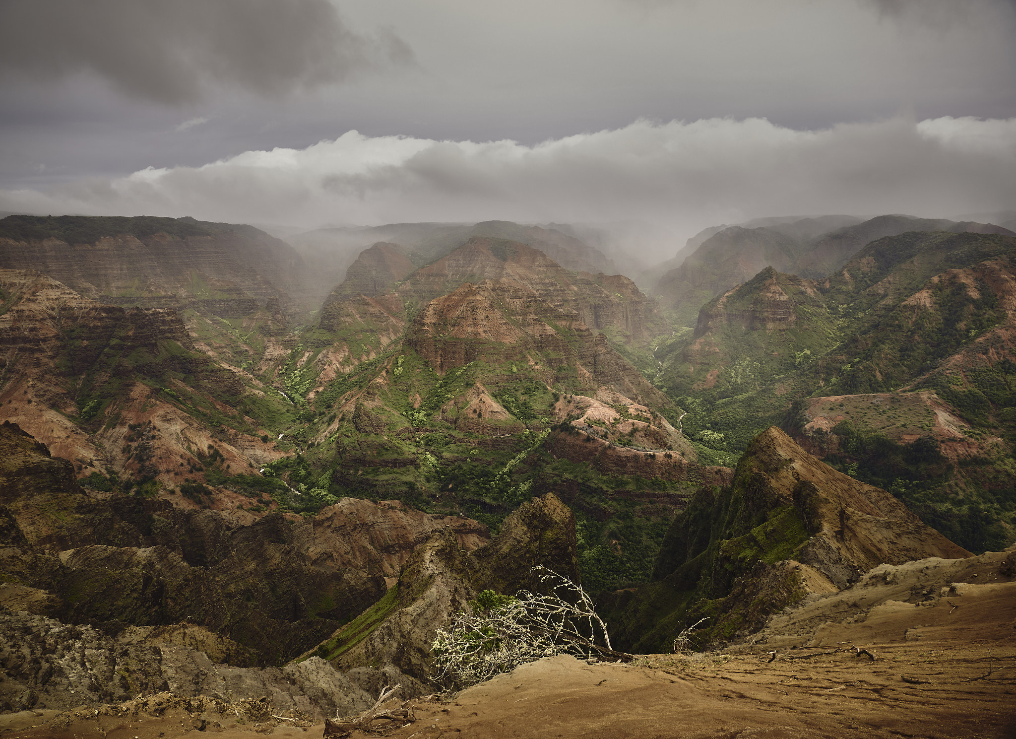Panasonic Lumix DMC-G85 (Lumix DMC-G80) sample photo. Hawaiian highlands 2 photography