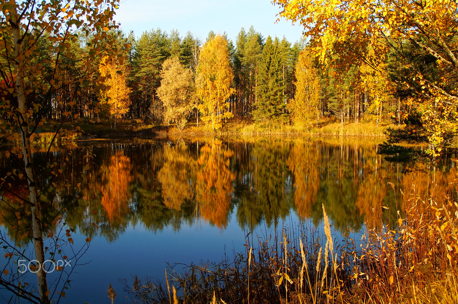 Sony SLT-A37 sample photo. Autumn in finland photography