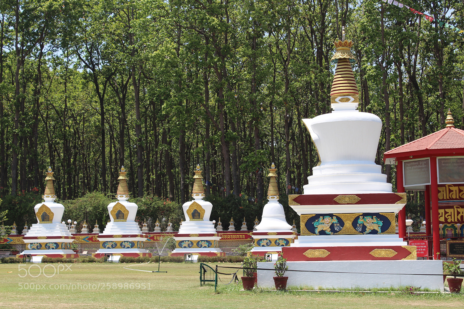 Canon EOS 1300D (EOS Rebel T6 / EOS Kiss X80) sample photo. Buddha temple photography