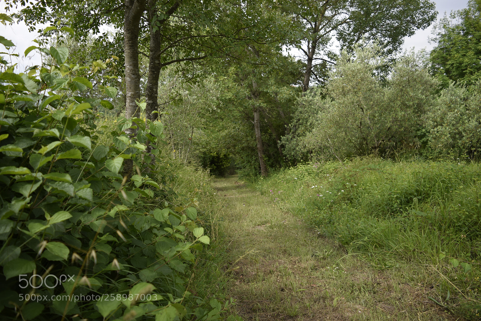 Nikon D3300 sample photo. Untitled photography
