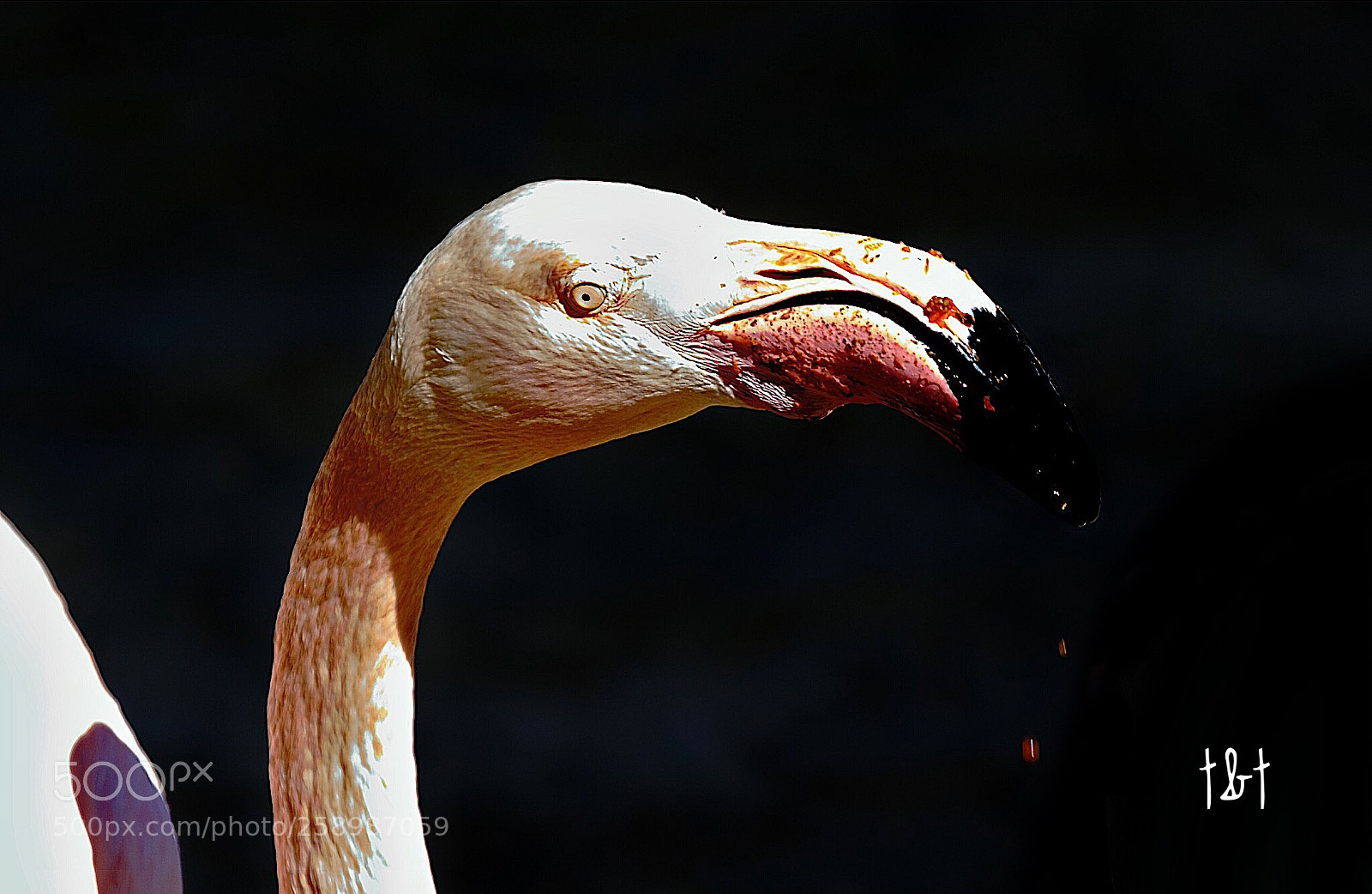Canon EOS 7D sample photo. Untitled photography