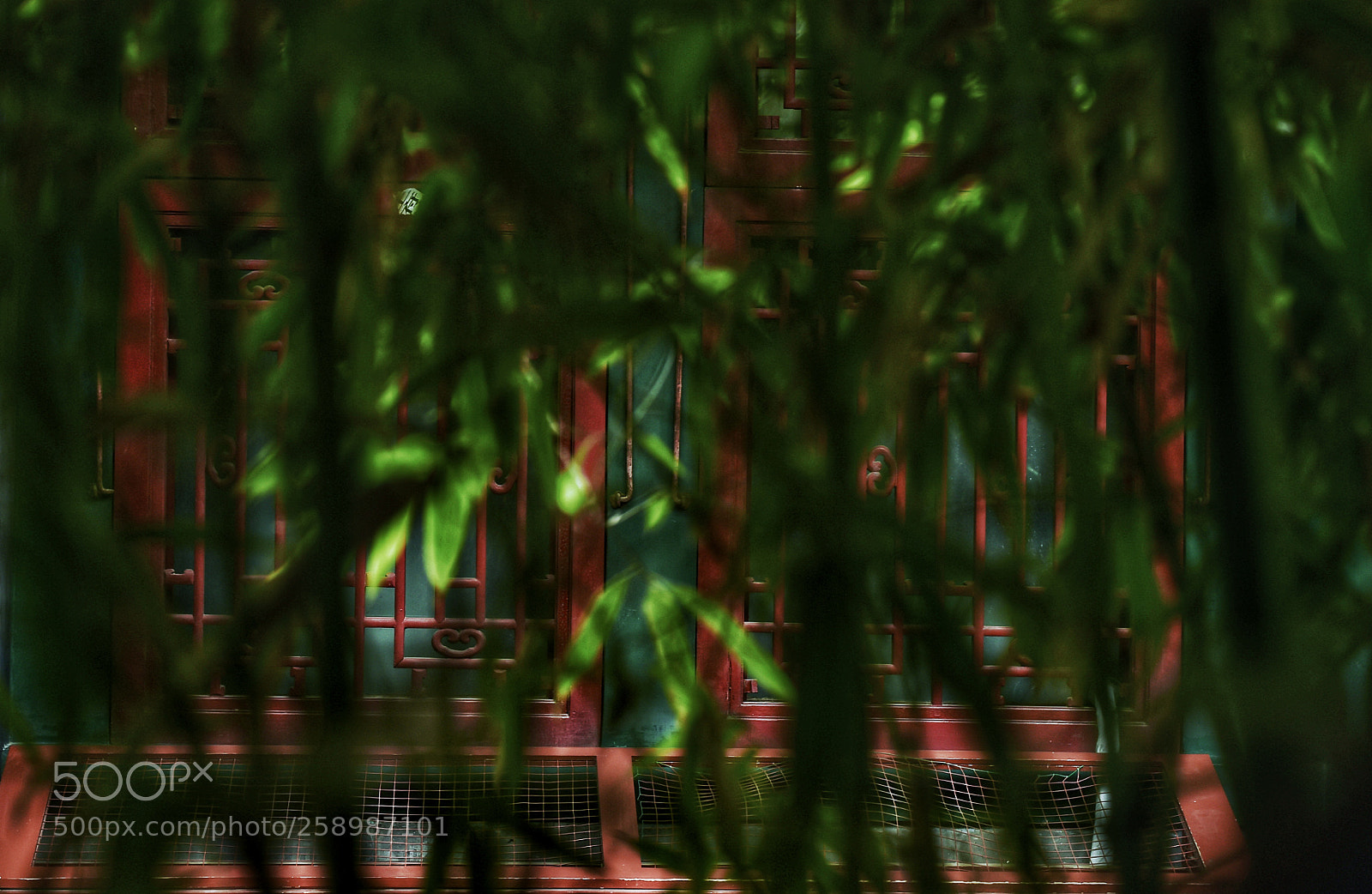 Nikon D4S sample photo. Quiet and secluded photography
