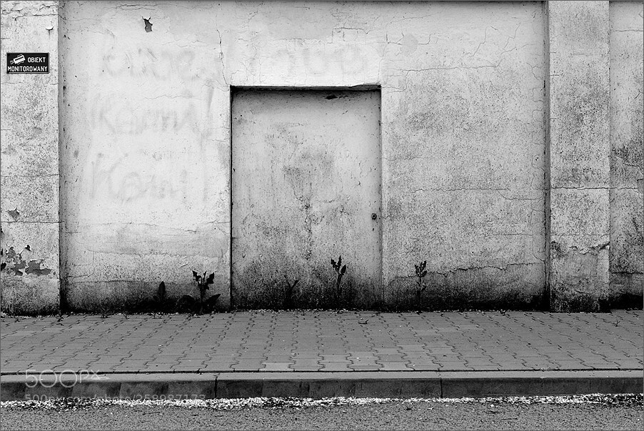 Nikon D610 sample photo. Monitored doors photography