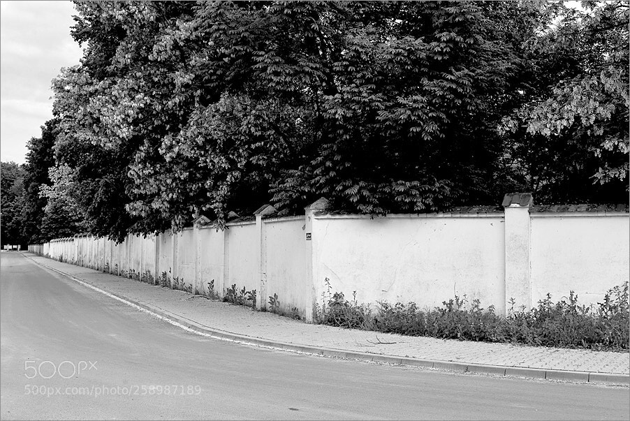 Nikon D610 sample photo. White fence photography