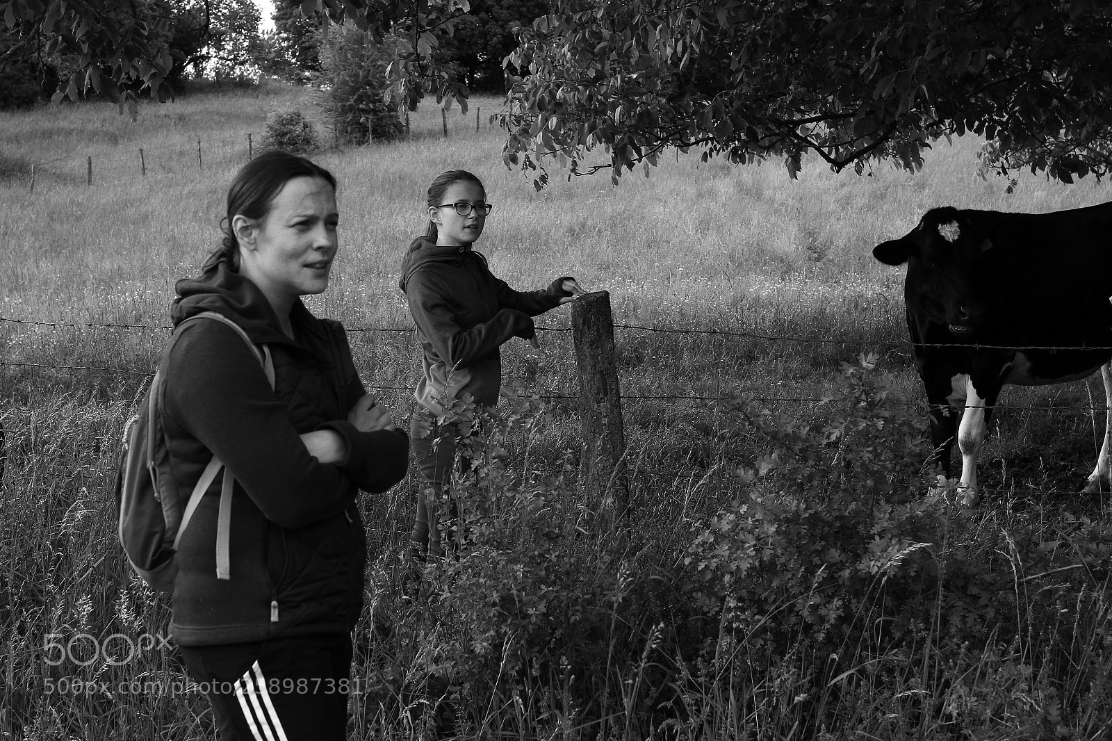 Canon EOS 7D sample photo. Untitled photography