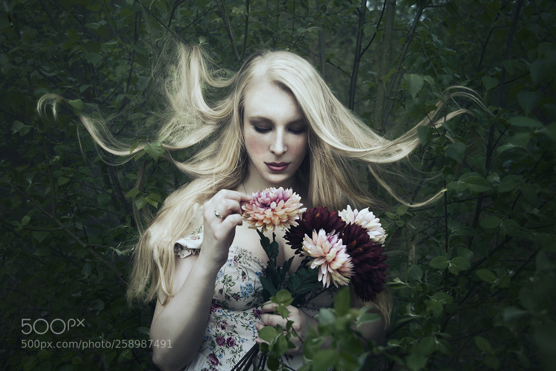 Canon EOS 5D Mark II sample photo. Fairy tale photography