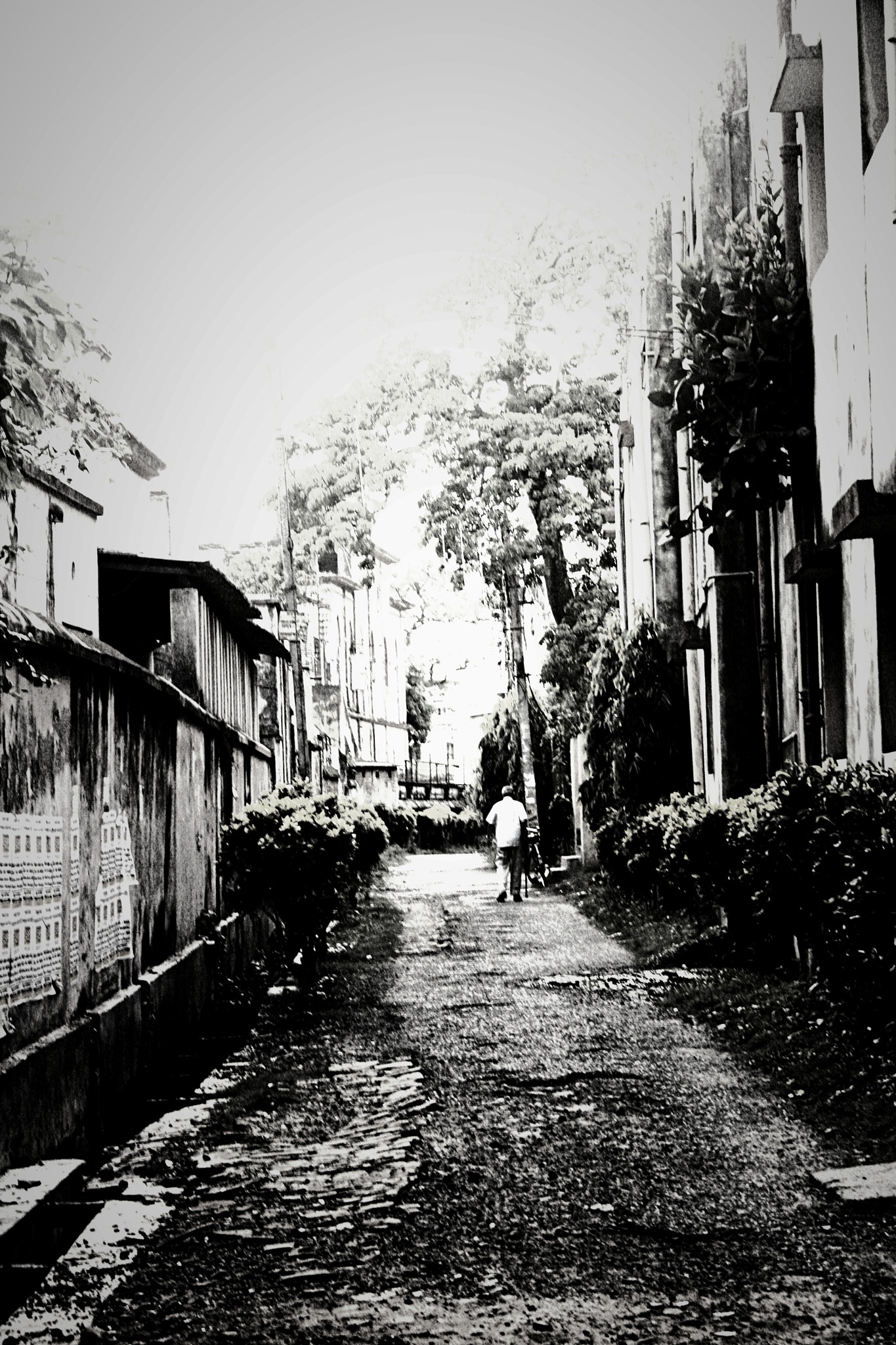 Canon EF-S 18-55mm F3.5-5.6 II sample photo. Fotoro photography