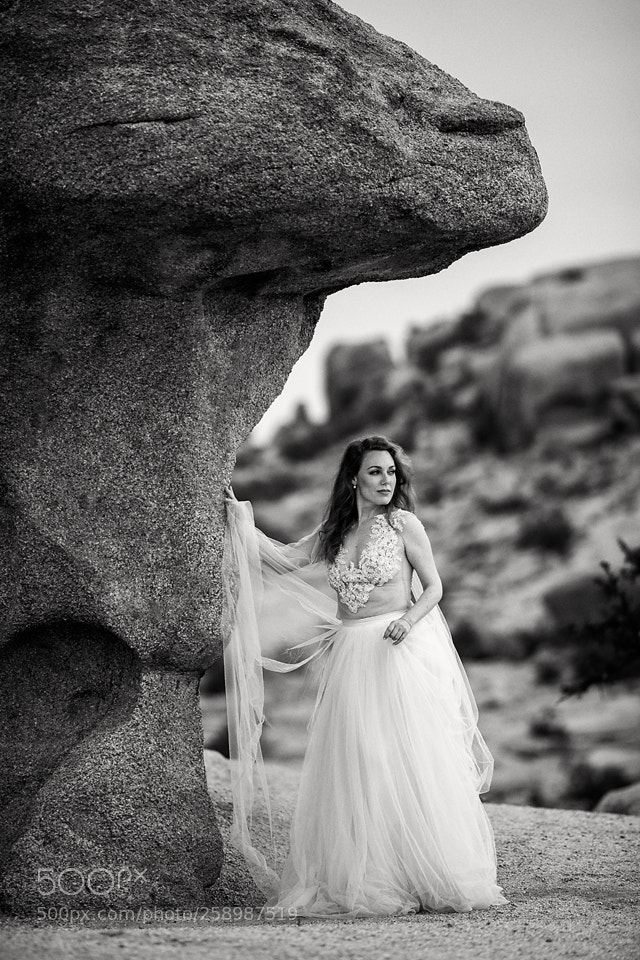 Canon EOS 5D Mark IV sample photo. Sheltering rock photography