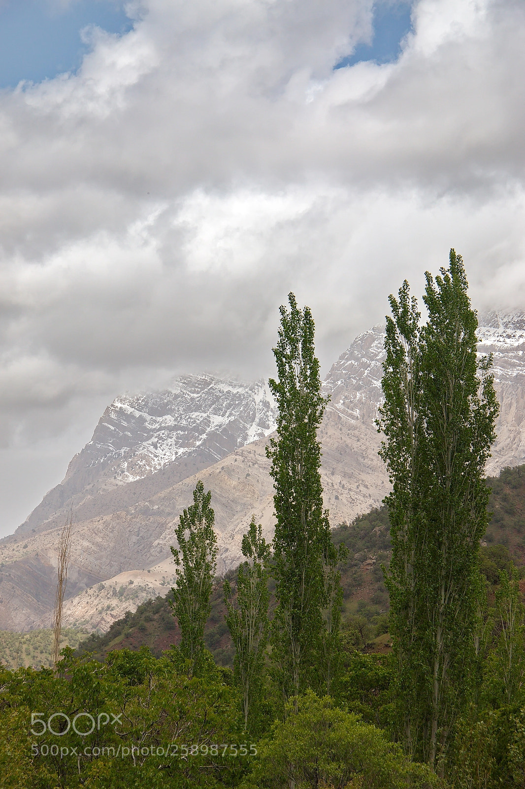 Canon EOS 70D sample photo. ‌سی سخت زیبا photography