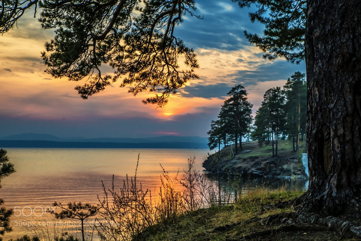 Nikon D800 sample photo. Spring evening at the photography