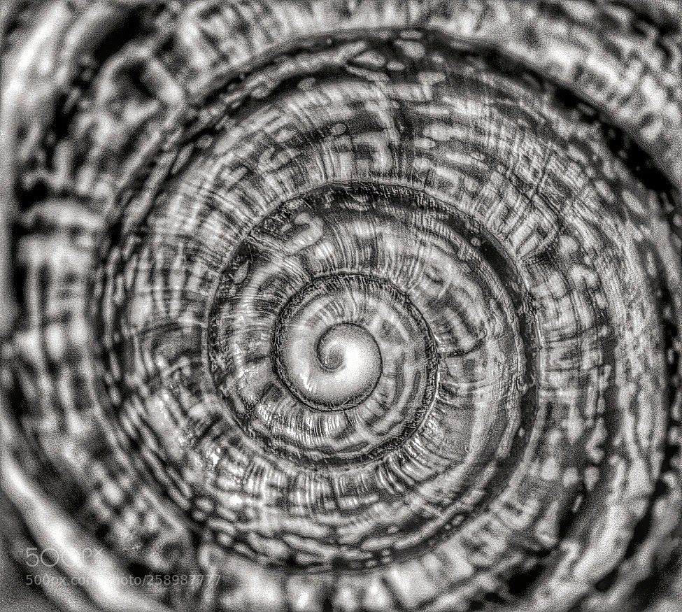 Nikon D5500 sample photo. Spiral photography