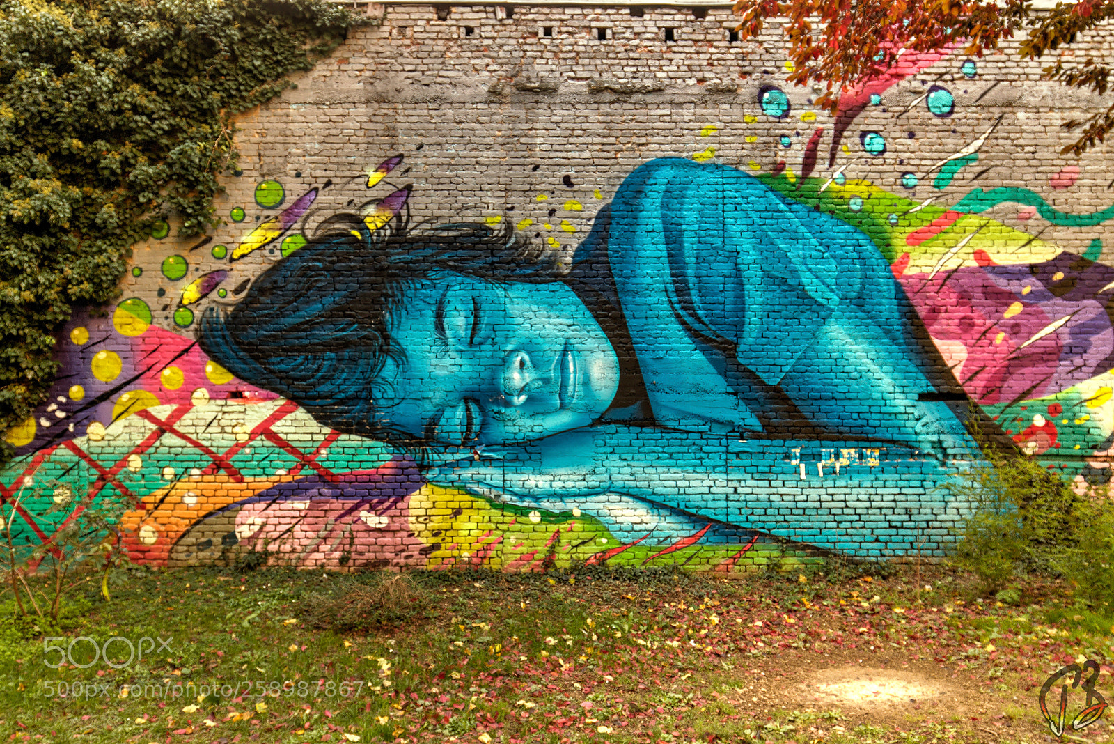 Canon EOS 70D sample photo. Sleeping beauty photography