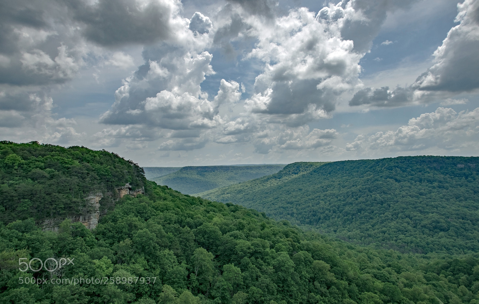 Nikon D5300 sample photo. Laurel gulf overlook spring photography