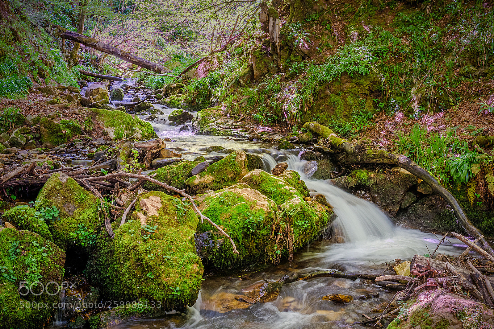 Canon EOS 80D sample photo. Ruta de la cascada photography