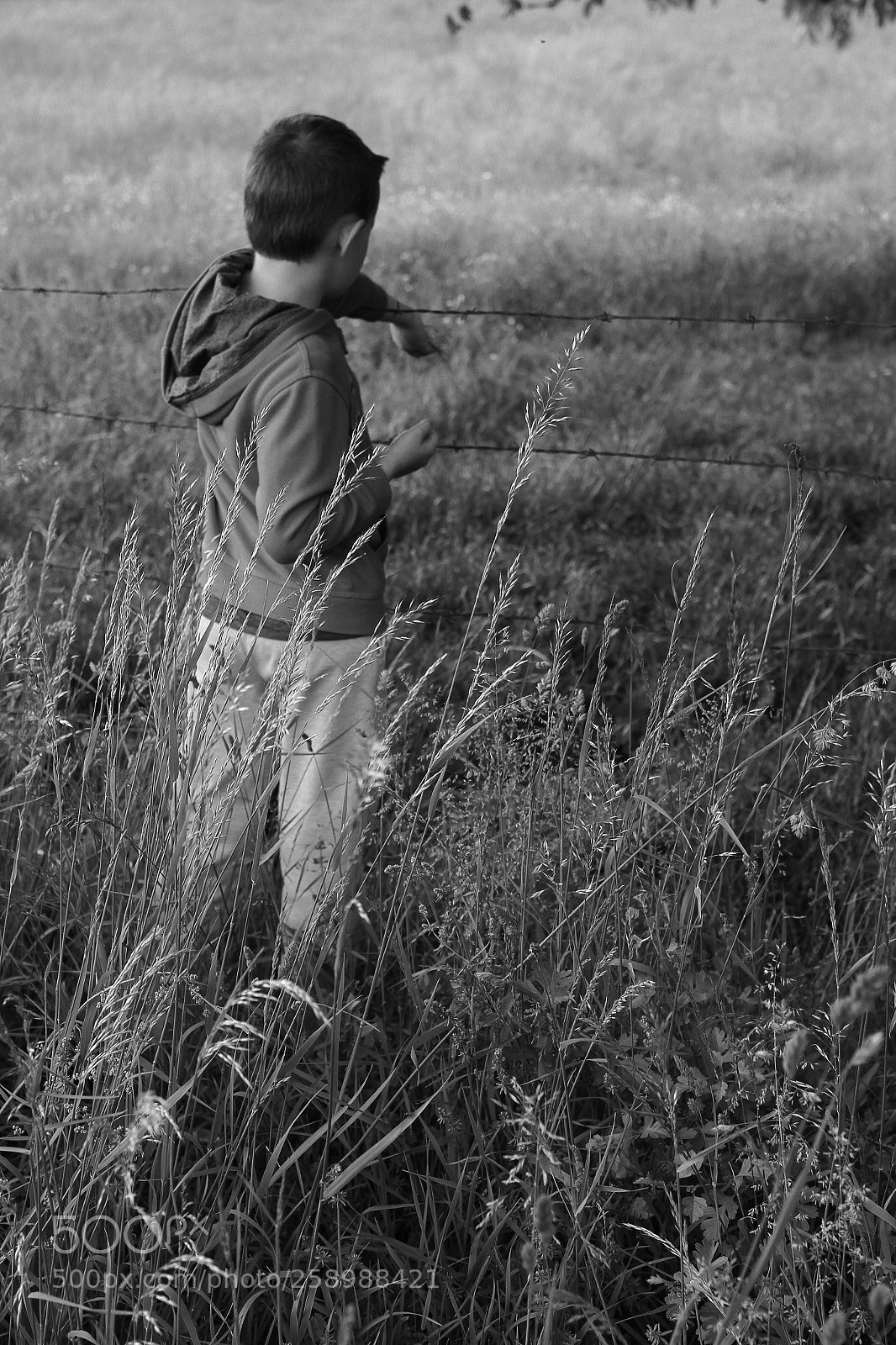 Canon EOS 7D sample photo. Untitled photography