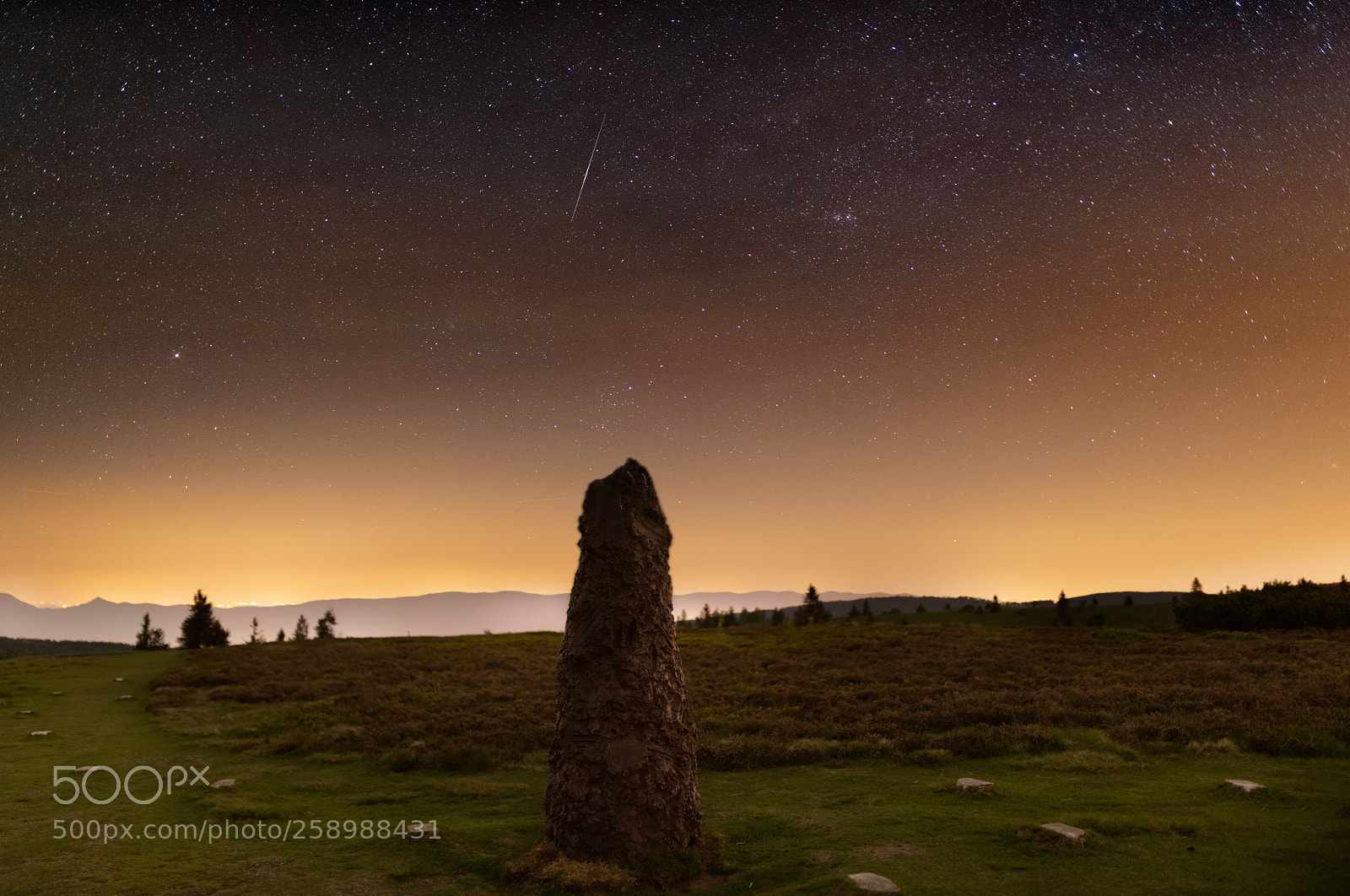 Nikon D850 sample photo. Stele champ du feu photography