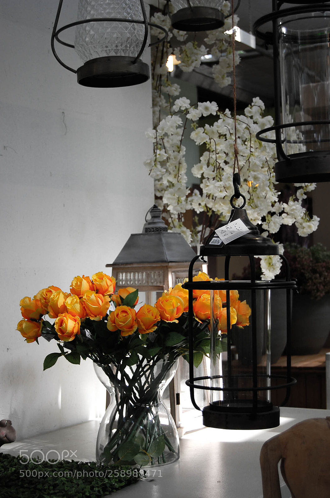 Nikon D40 sample photo. Details photography