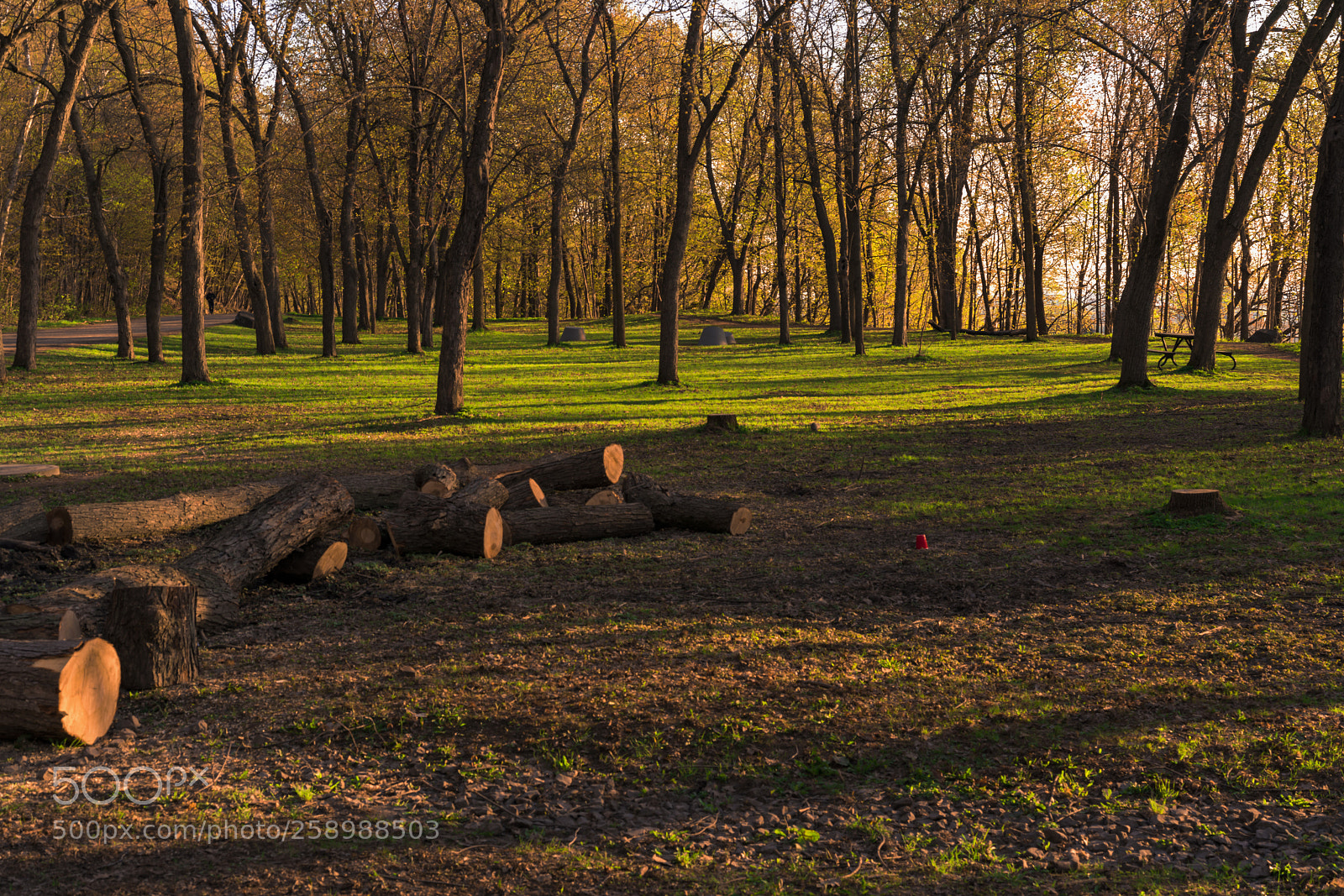 Sony a7R II sample photo. Morning photography