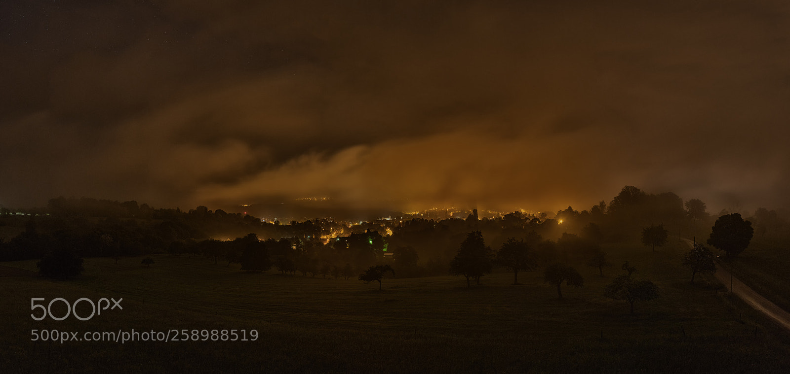 Nikon D850 sample photo. Fog photography