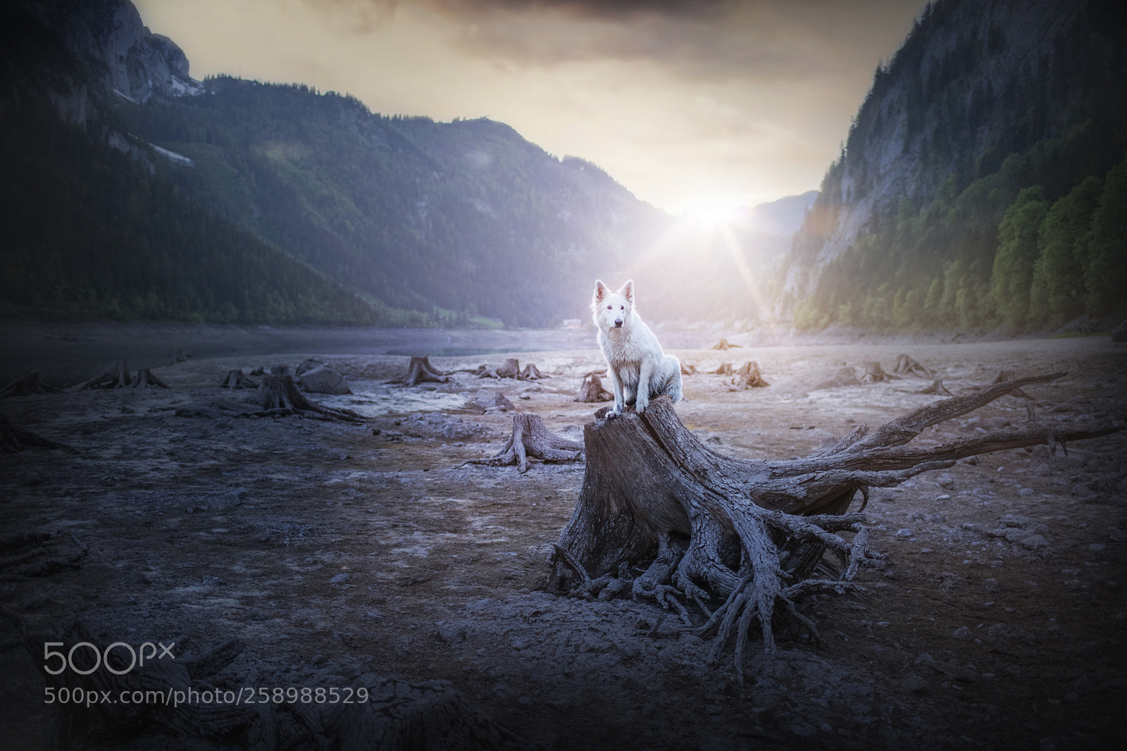 Nikon D850 sample photo. Wilderness photography