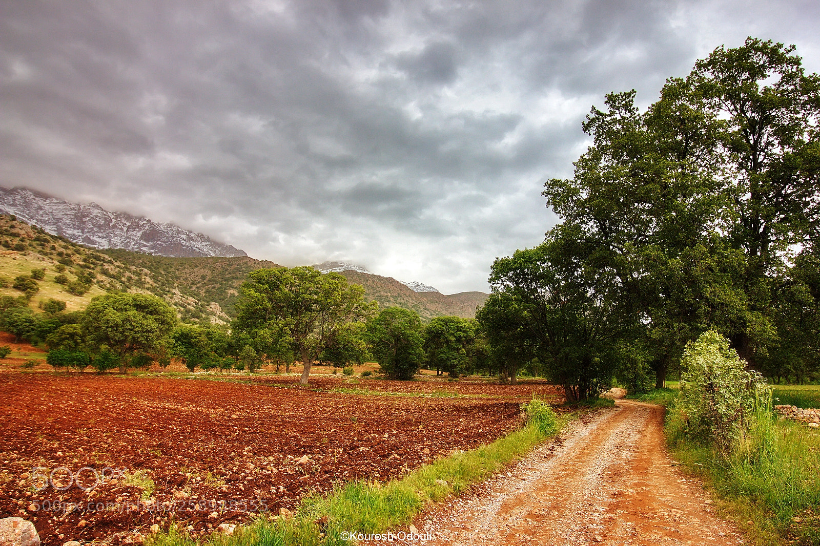 Canon EOS 70D sample photo. ‌سی سخت زیبا photography