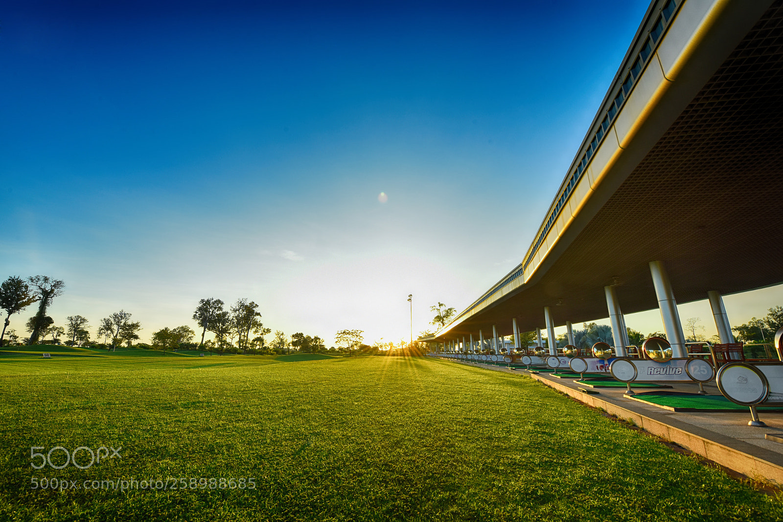 Nikon D810 sample photo. Golf course photography