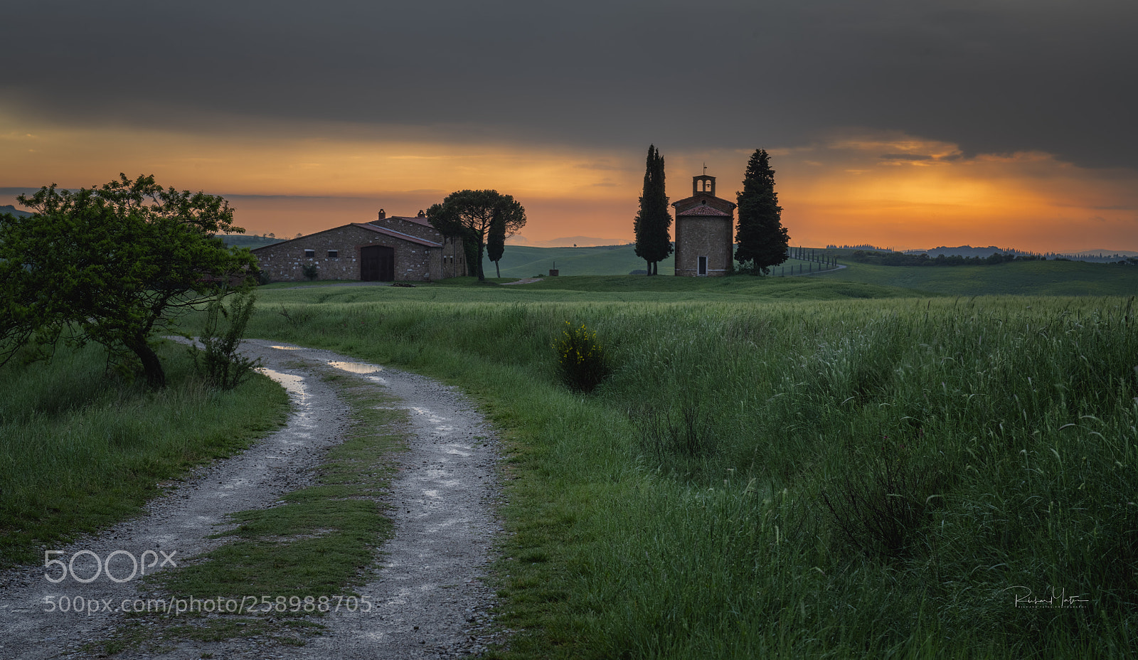 Nikon D850 sample photo. Sunset san quirico d'orcia photography