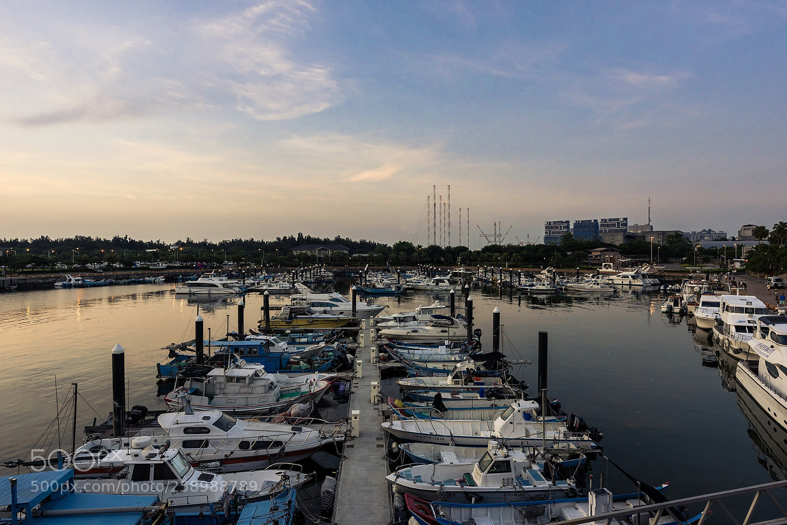 Nikon D810 sample photo. Untitled photography