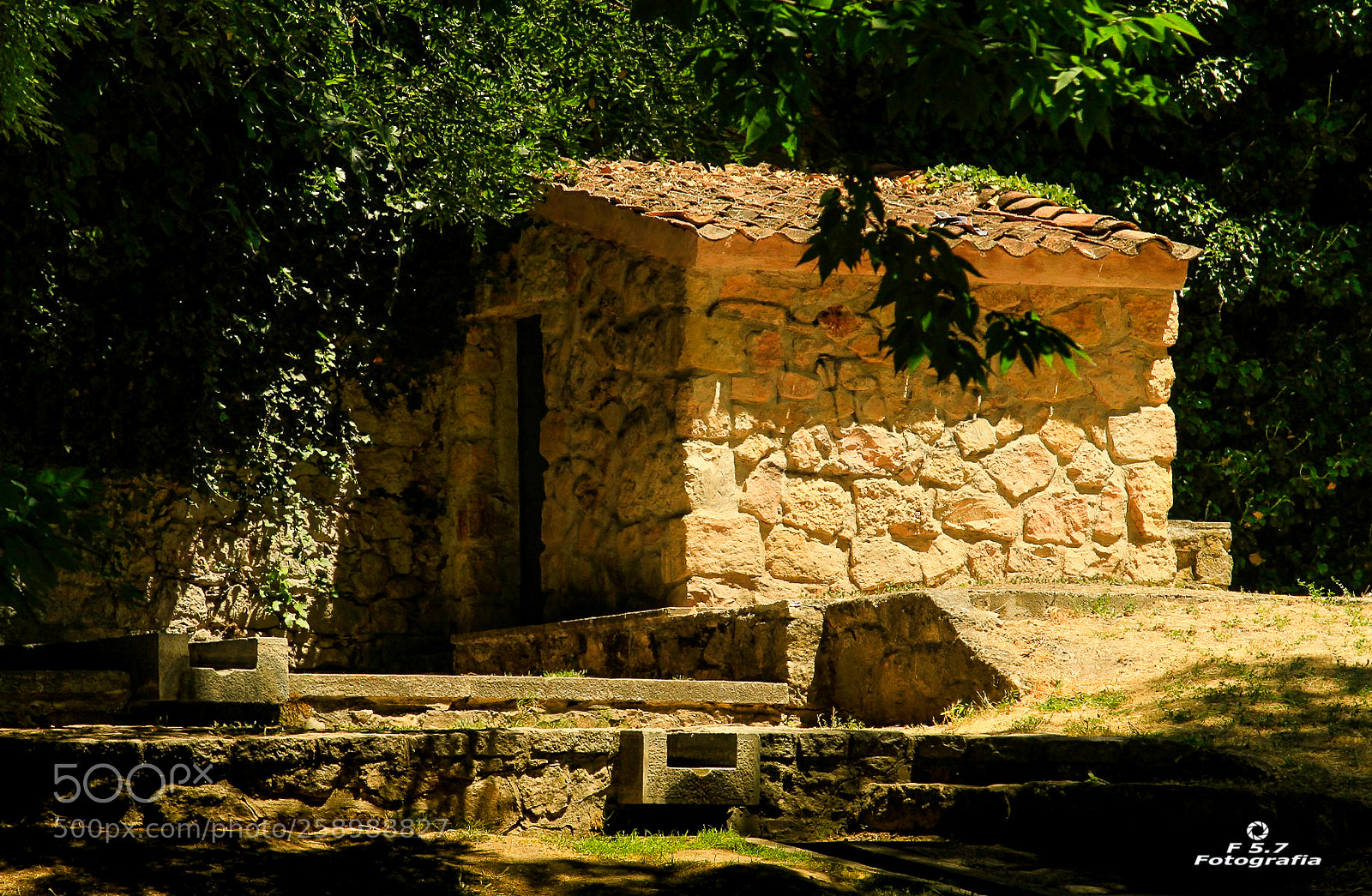 Canon EOS 7D sample photo. Parque de la alameda photography