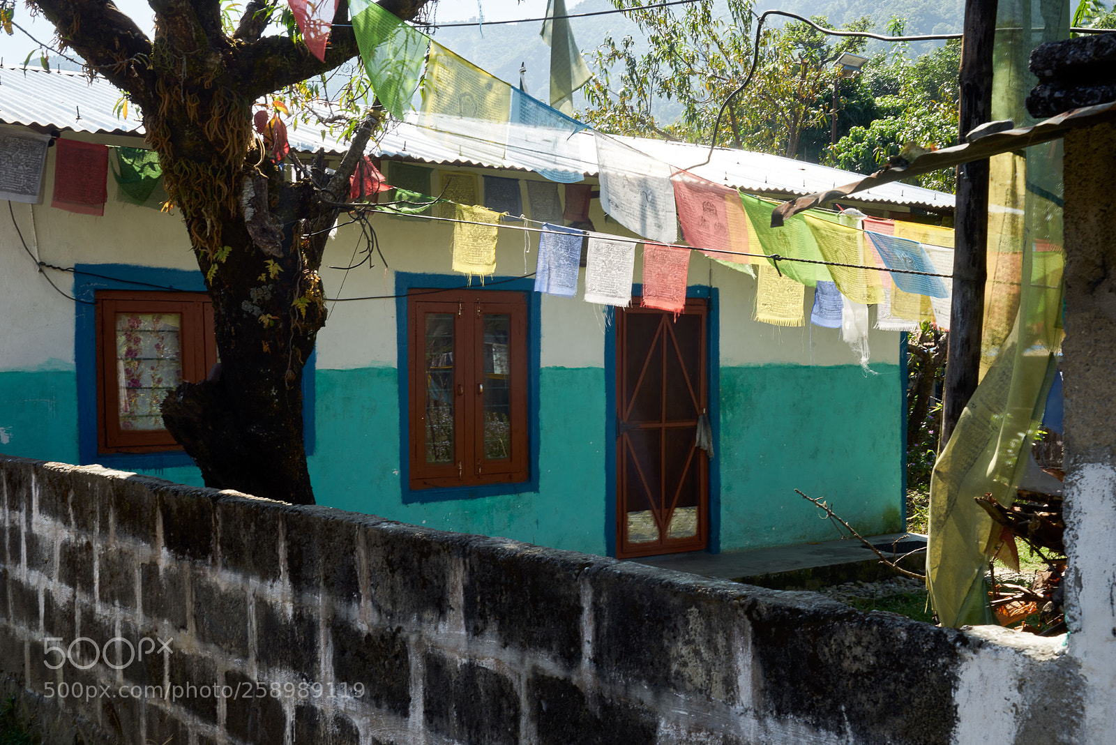 Sony a7R sample photo. Life photography