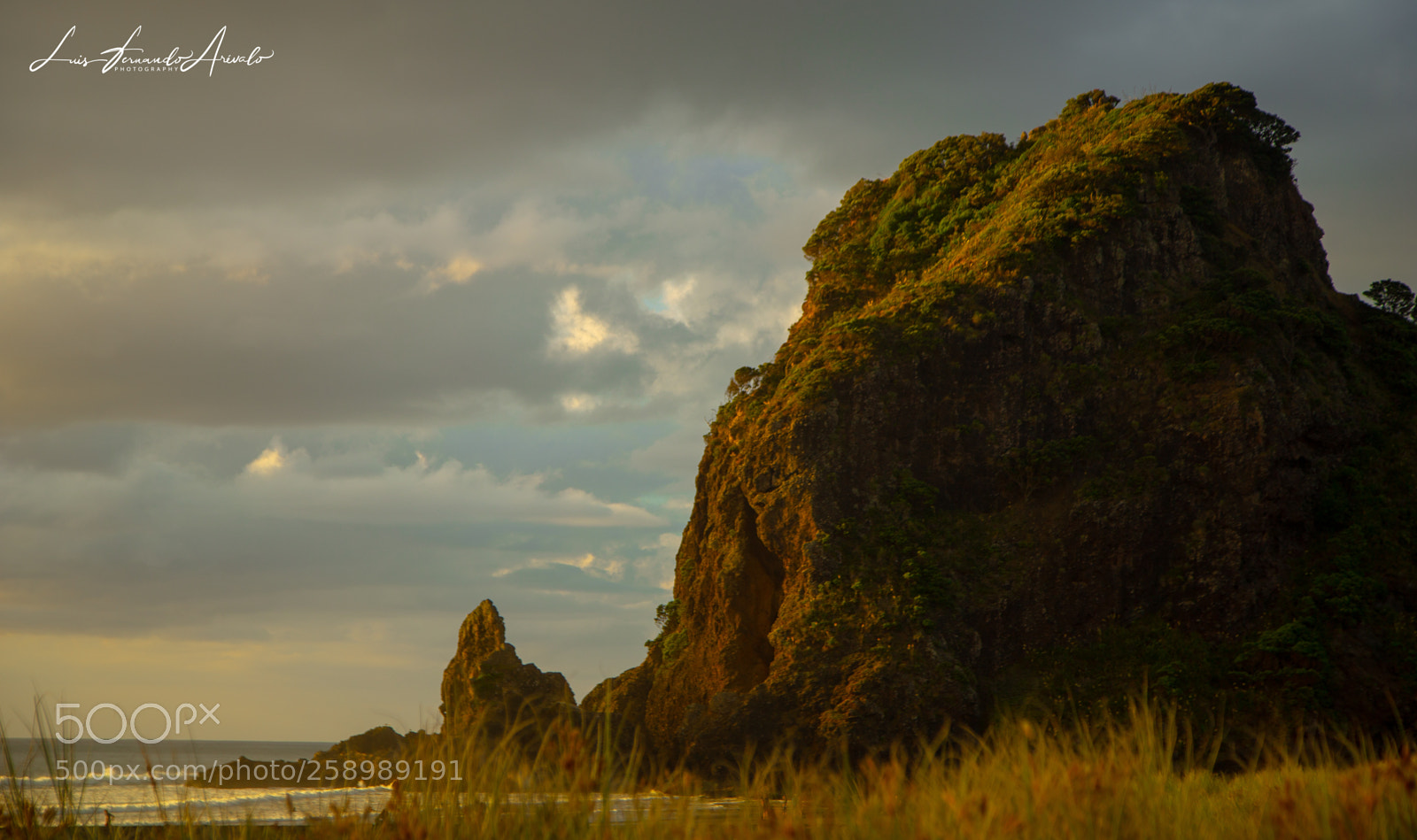 Canon EOS 6D sample photo. Piha photography