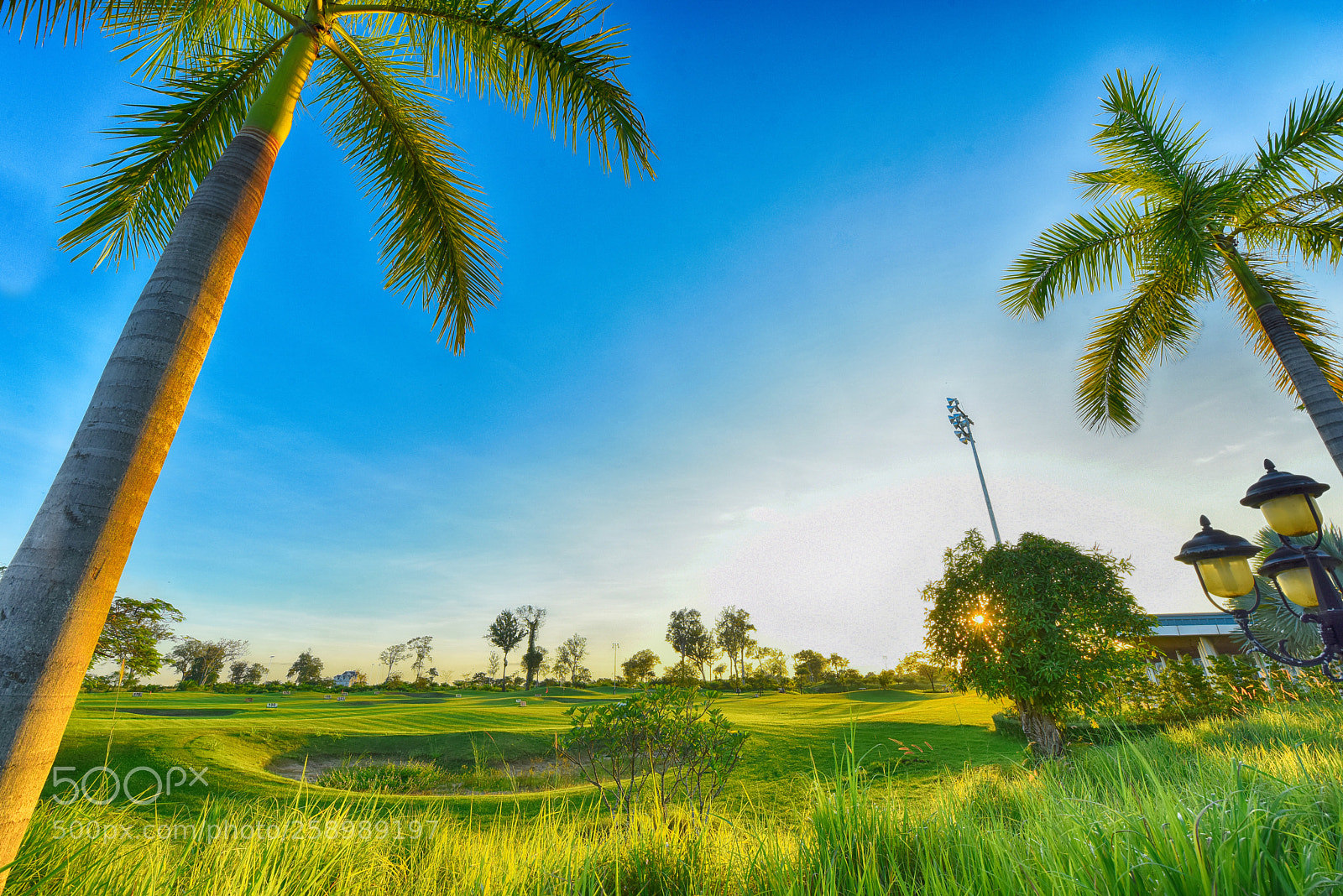 Nikon D810 sample photo. Golf course photography