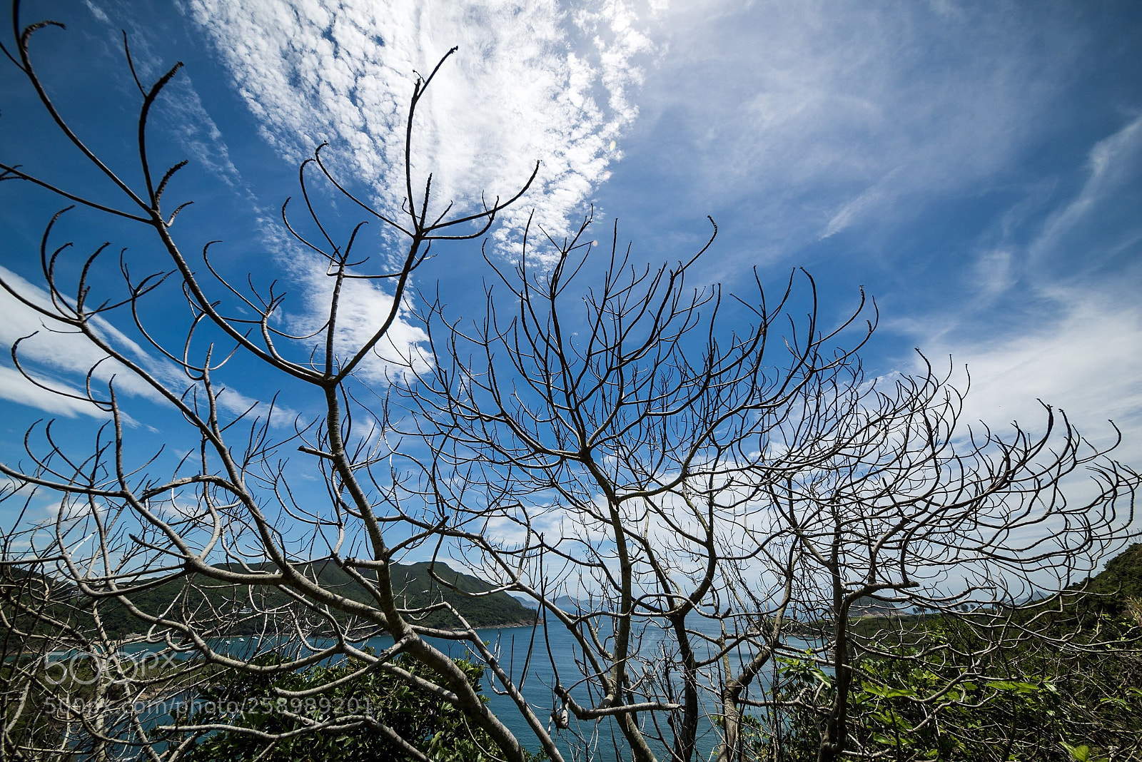 Nikon D810 sample photo. Untitled photography