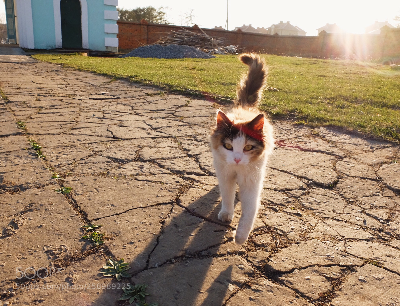 Fujifilm X30 sample photo. Musya photography
