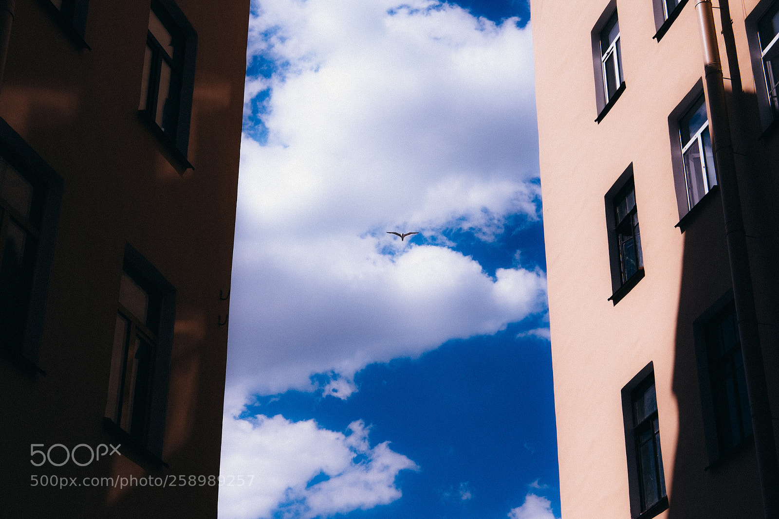 Fujifilm X-T1 sample photo. St.petersburg photography