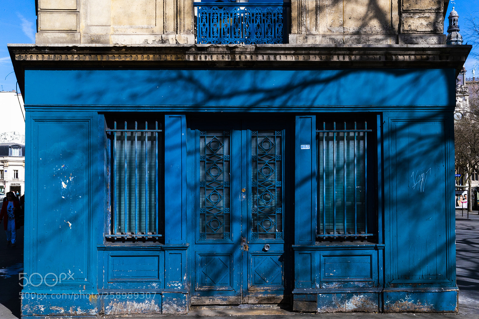 Canon EOS-1D X Mark II sample photo. Blue photography