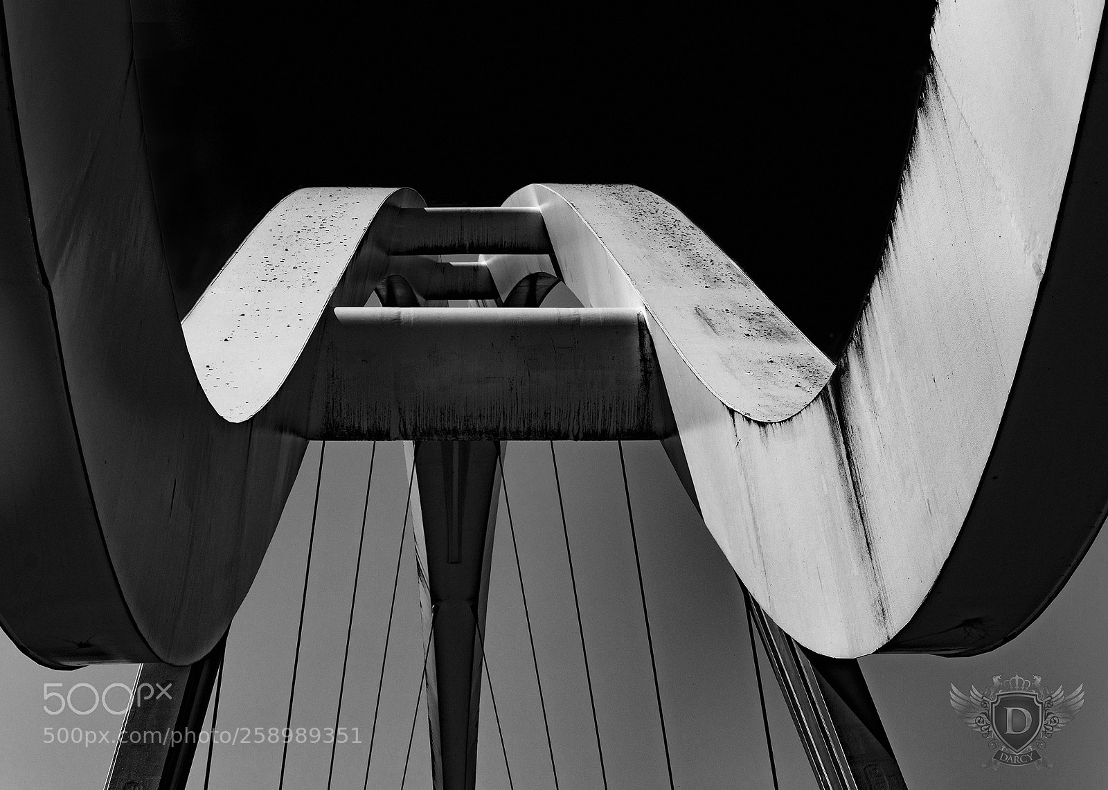 Nikon D7100 sample photo. Horns photography
