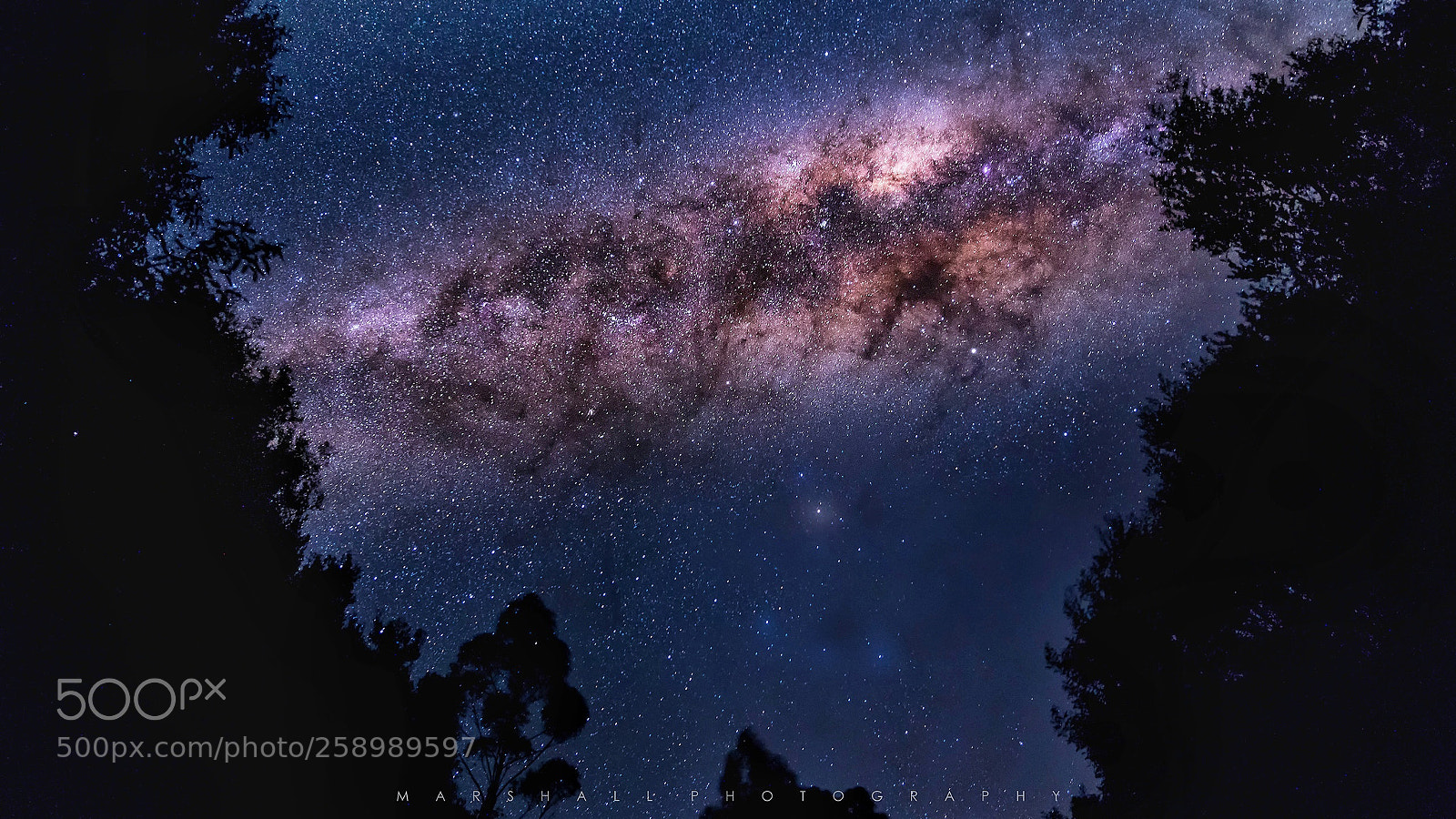 Sony a7R II sample photo. River of star photography
