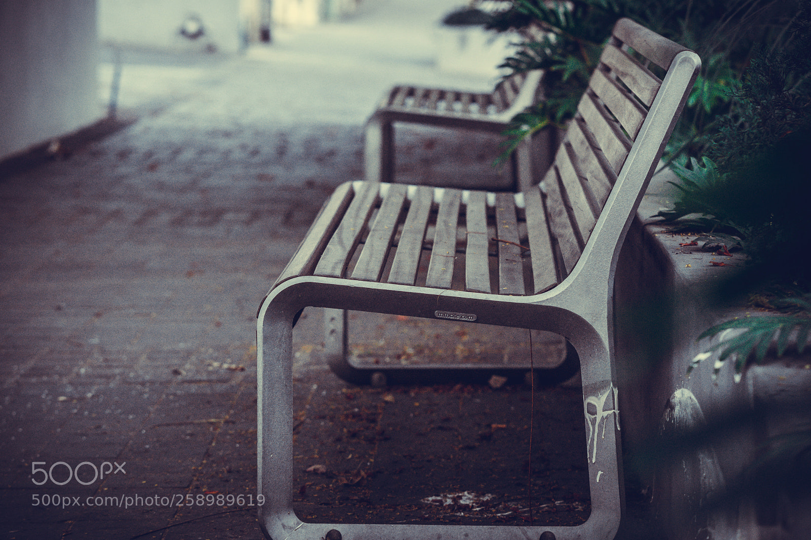 Sony a6000 sample photo. Sit down photography