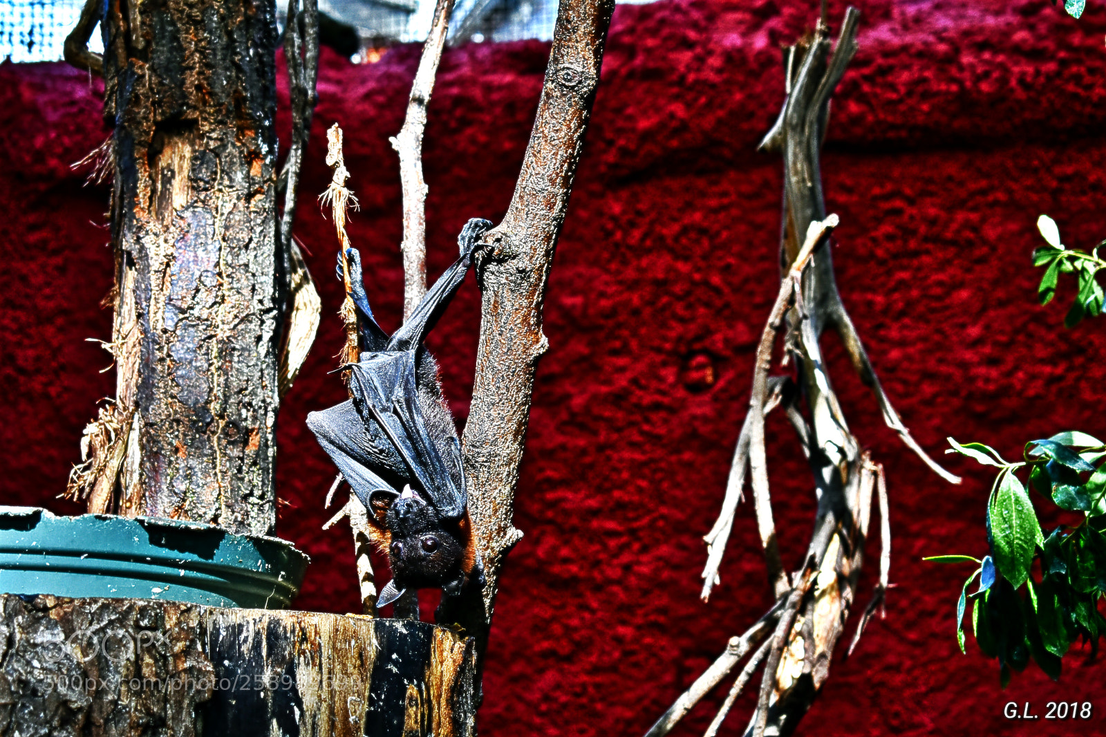 Nikon D3400 sample photo. Untitled photography